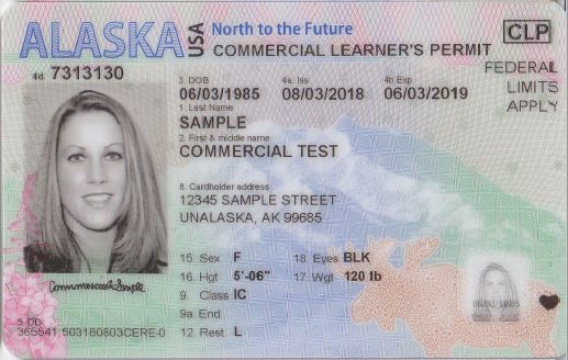 State Of Alaska DMV Duplicate DL ID